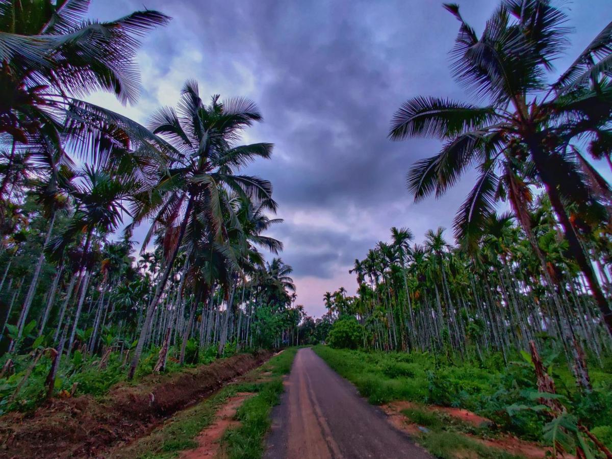 Swastha Plantation Homestay Kaniyāmbetta Exteriör bild