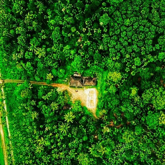 Swastha Plantation Homestay Kaniyāmbetta Exteriör bild