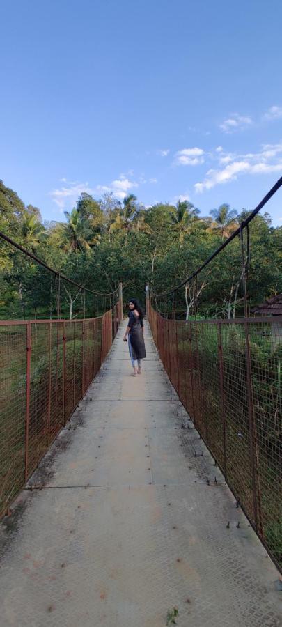 Swastha Plantation Homestay Kaniyāmbetta Exteriör bild